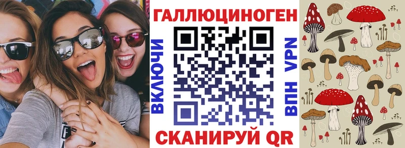 Галлюциногенные грибы Psilocybe  купить наркоту  hydra вход  Бузулук 